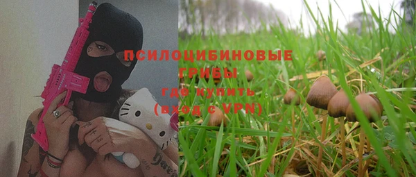 a pvp Верея